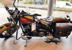 Harley-Davidson 1450 Heritage Classic (1999 - 02) - FLSTC usata