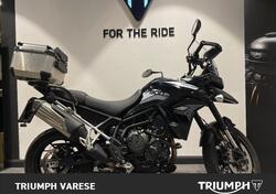 Triumph Tiger 900 GT Pro (2020 - 23) usata