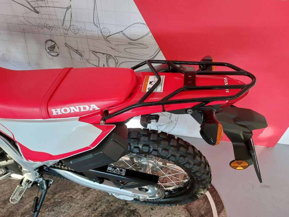 Honda CRF 300 L (2021 - 24) (5)