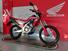 Honda CRF 300 L (2021 - 24) (6)