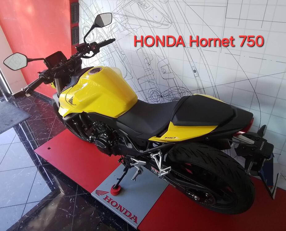 Honda CB 750 Hornet (2023 - 24) (5)