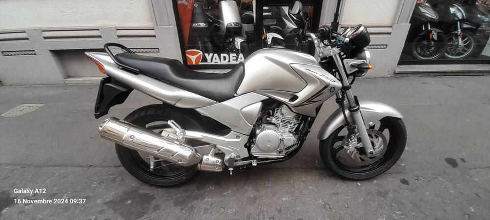 Yamaha YBR 250 (2006 - 13) (2)