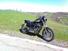 Harley-Davidson 883 R (2008 - 16) - XL 883R (7)