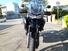 Triumph Tiger 1200 GT Pro (2022 - 23) (9)