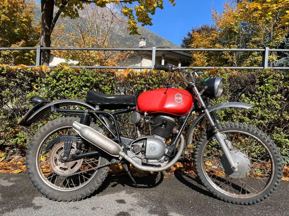 Gilera regolarità 4T casa