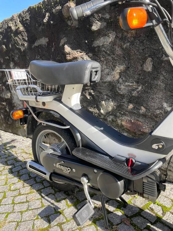 Piaggio Grillo  (3)