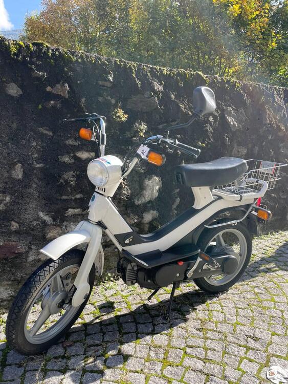 Piaggio Grillo  (5)