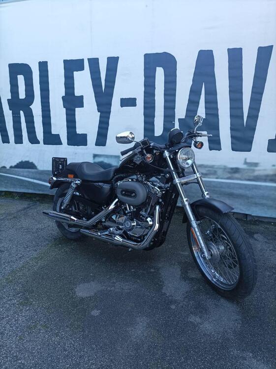 Harley-Davidson 1200 Custom (2004 - 06) - XL 1200C (2)