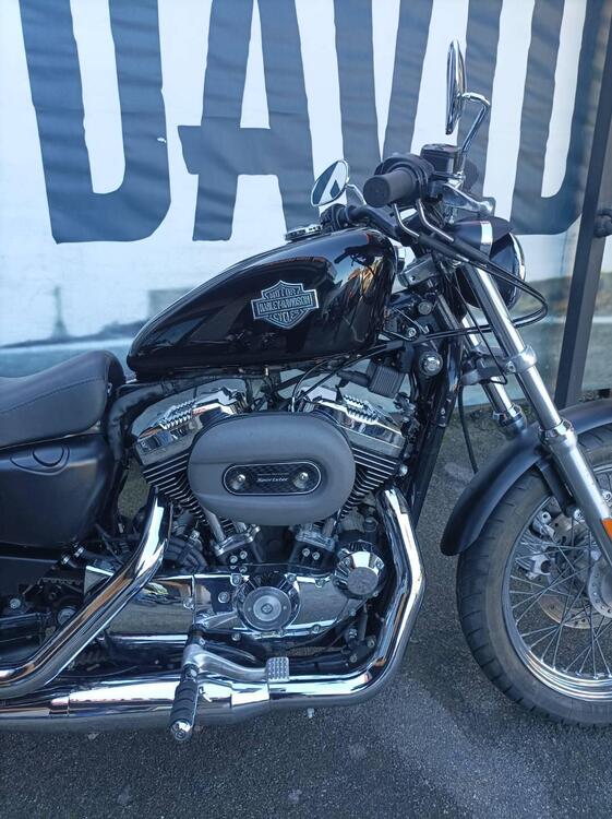 Harley-Davidson 1200 Custom (2004 - 06) - XL 1200C (3)