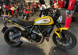 Ducati Scrambler 800 Icon (2021 - 22) usata