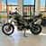 Triumph Tiger 900 Rally Pro (2020 - 23) (6)