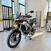 Triumph Tiger 900 Rally Pro (2020 - 23) (9)