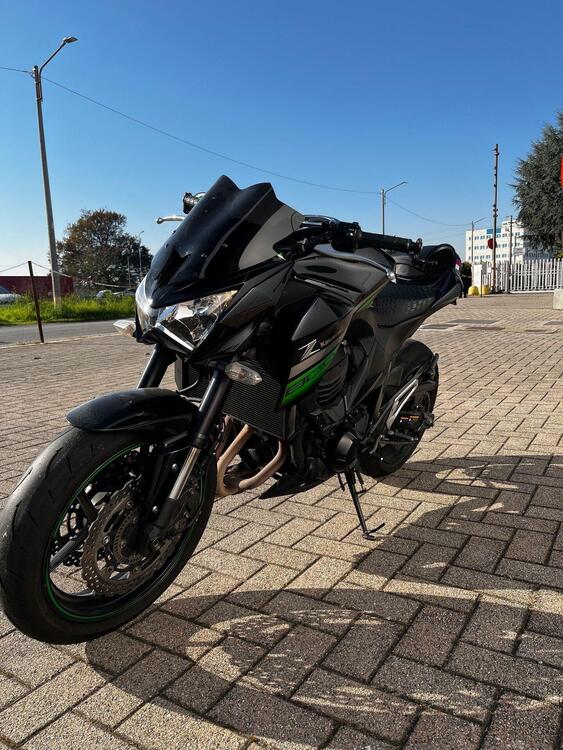 Kawasaki Z 800 ABS (2012 - 16) (3)