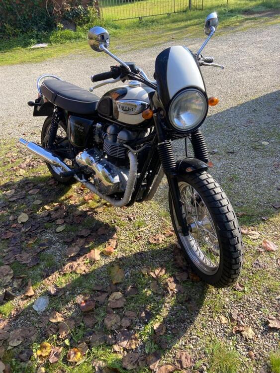 Triumph Bonneville 800 (2002 - 07) (2)