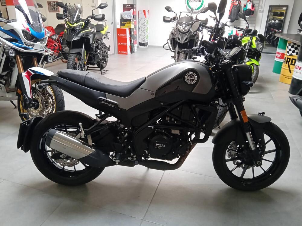 Benelli Leoncino 250 (2021 - 24) (3)