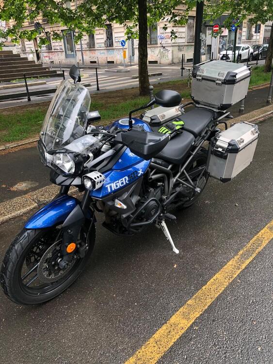 Triumph Tiger 800 XRx (2015 - 17) (2)