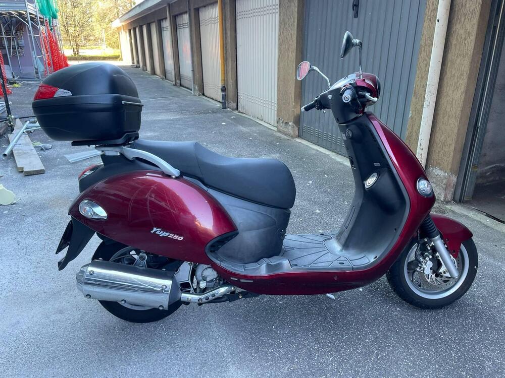 Kymco Yup 250 (2)