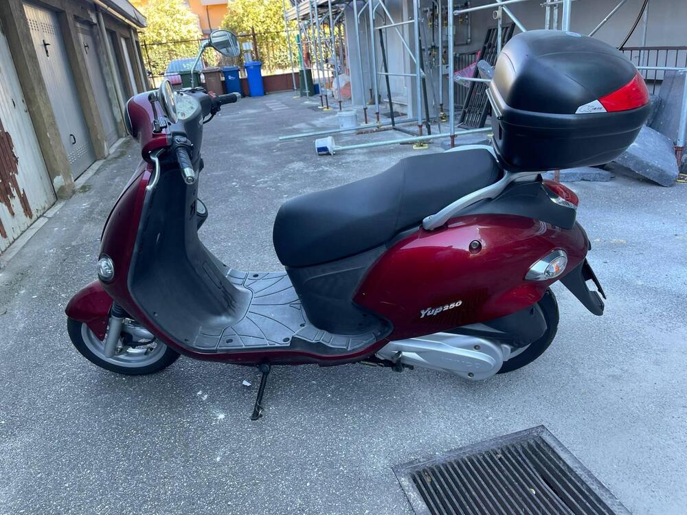 Kymco Yup 250 (3)