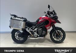 Triumph Tiger 1200 GT Pro (2024) usata