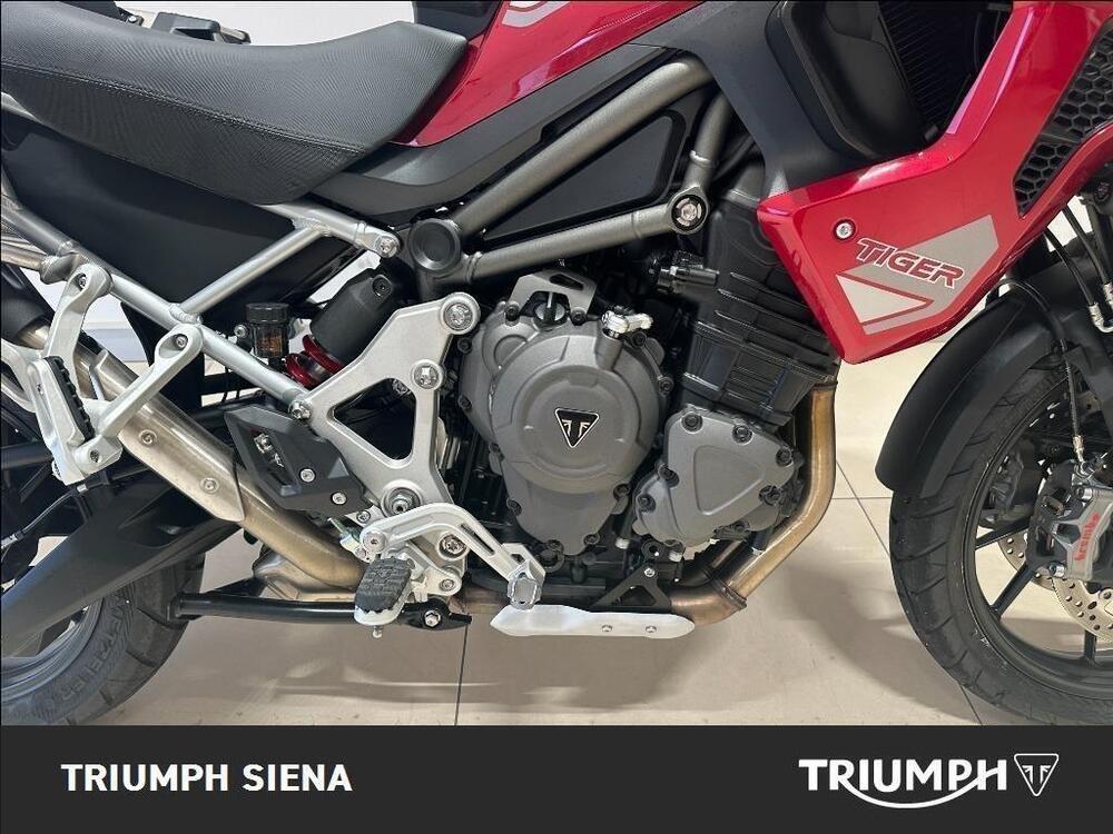 Triumph Tiger 1200 GT Pro (2024) (5)