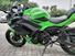 Kawasaki Ninja 650 Sport (2021 - 24) (7)