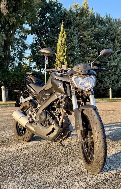 Yamaha MT-125 (2014 - 16) (2)