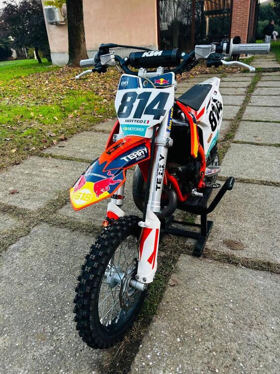 KTM SX 65 (2019) (5)