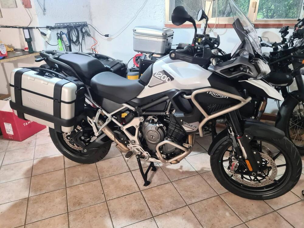 Triumph Tiger 1200 GT Pro (2022 - 23) (2)