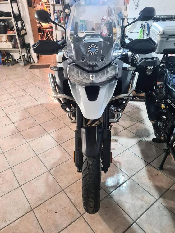 Triumph Tiger 1200 GT Pro (2022 - 23) (3)