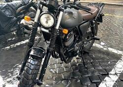 Archive Motorcycle AM 70 250 Cafe Racer (2020) usata