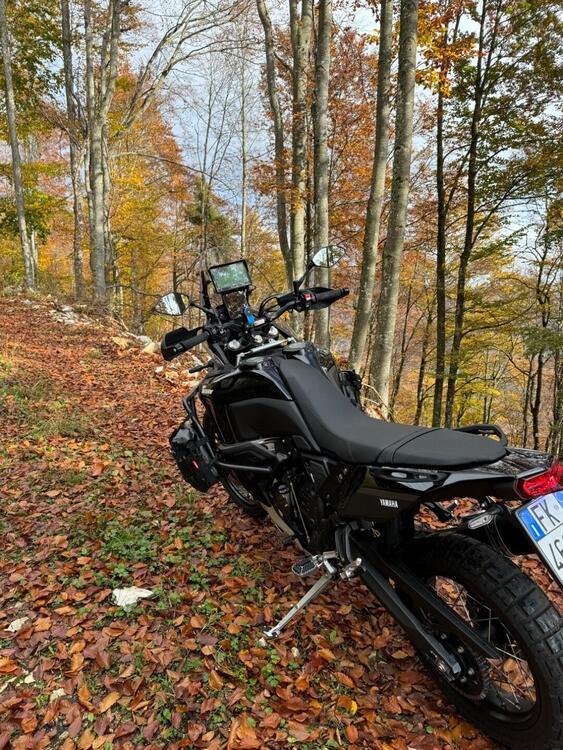 Yamaha Ténéré 700 World Raid (2022 - 24) (3)