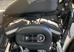 Harley-Davidson 883 Iron (2014 - 16) - XL 883N usata