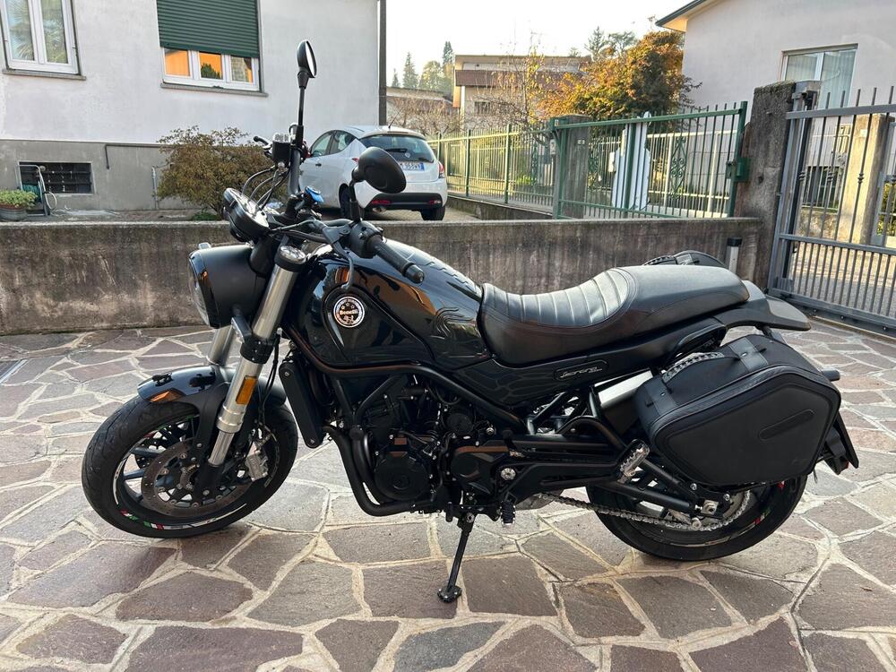 Benelli Leoncino 500 (2021 - 24) (3)