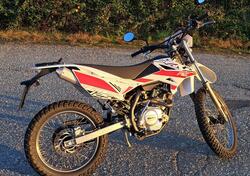 Betamotor RR 125 4T Enduro AC (2016) usata