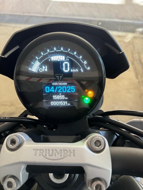 Triumph Trident 660 (2021 - 24) (5)