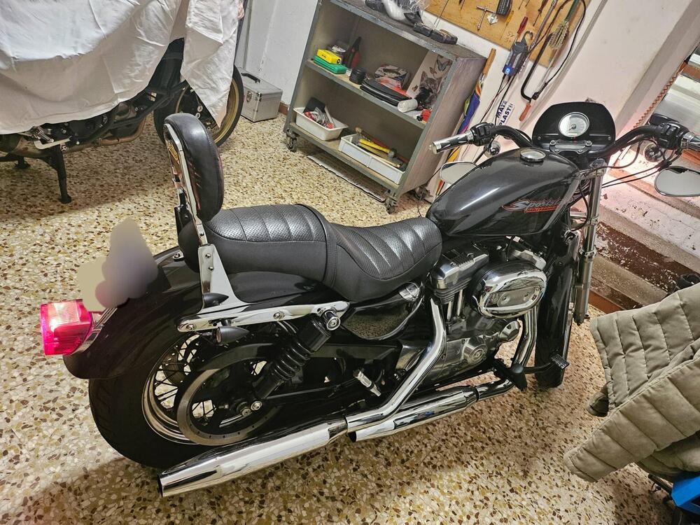 Harley-Davidson 883 Custom (2006 - 07) - XL 883C (2)