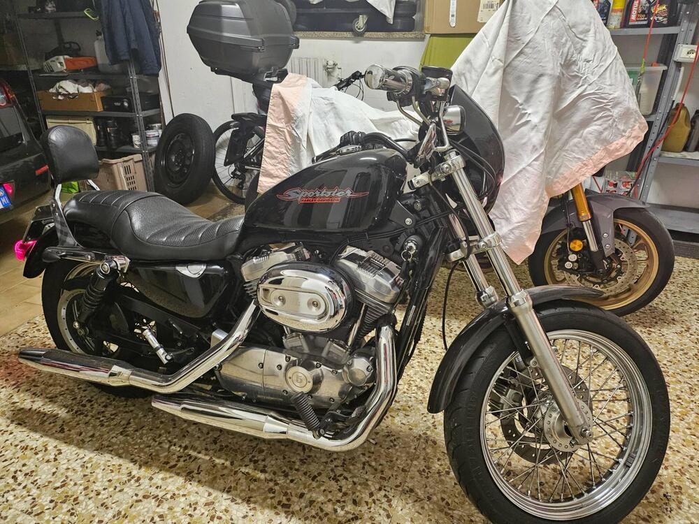 Harley-Davidson 883 Custom (2006 - 07) - XL 883C (5)