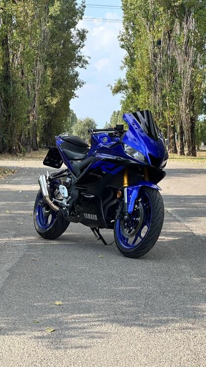 Yamaha YZF R3 (2019 - 20)