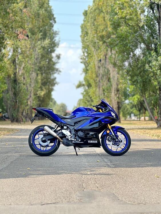 Yamaha YZF R3 (2019 - 20) (3)