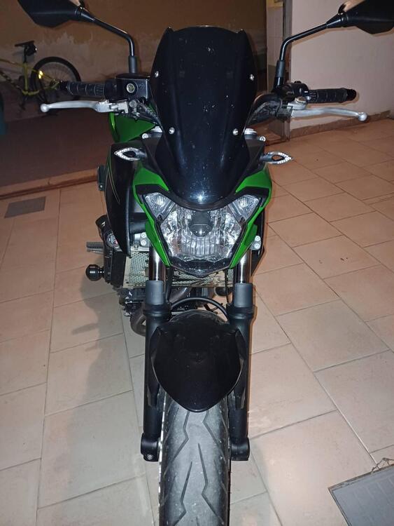 Kawasaki Z 650 (2017 - 19)