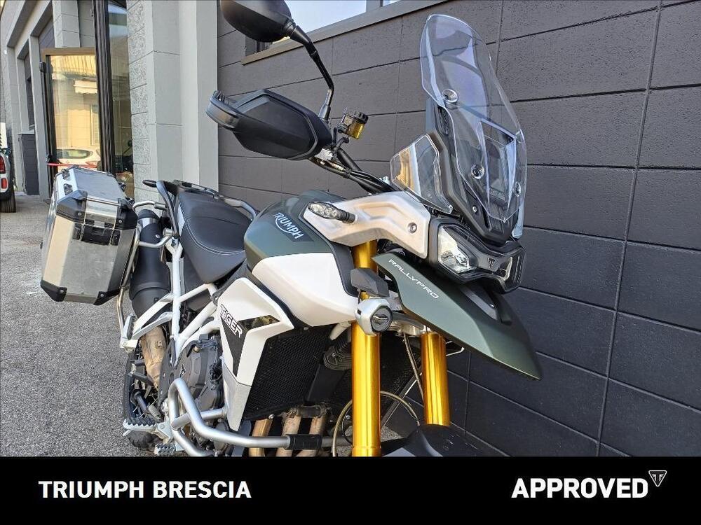 Triumph Tiger 900 Rally Pro (2020 - 23) (3)