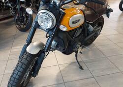 Ducati Scrambler 800 Classic (2015 - 16) usata