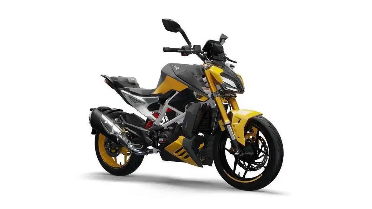 TVS Motor RTR 310 RTR 310 (2024 - 26)