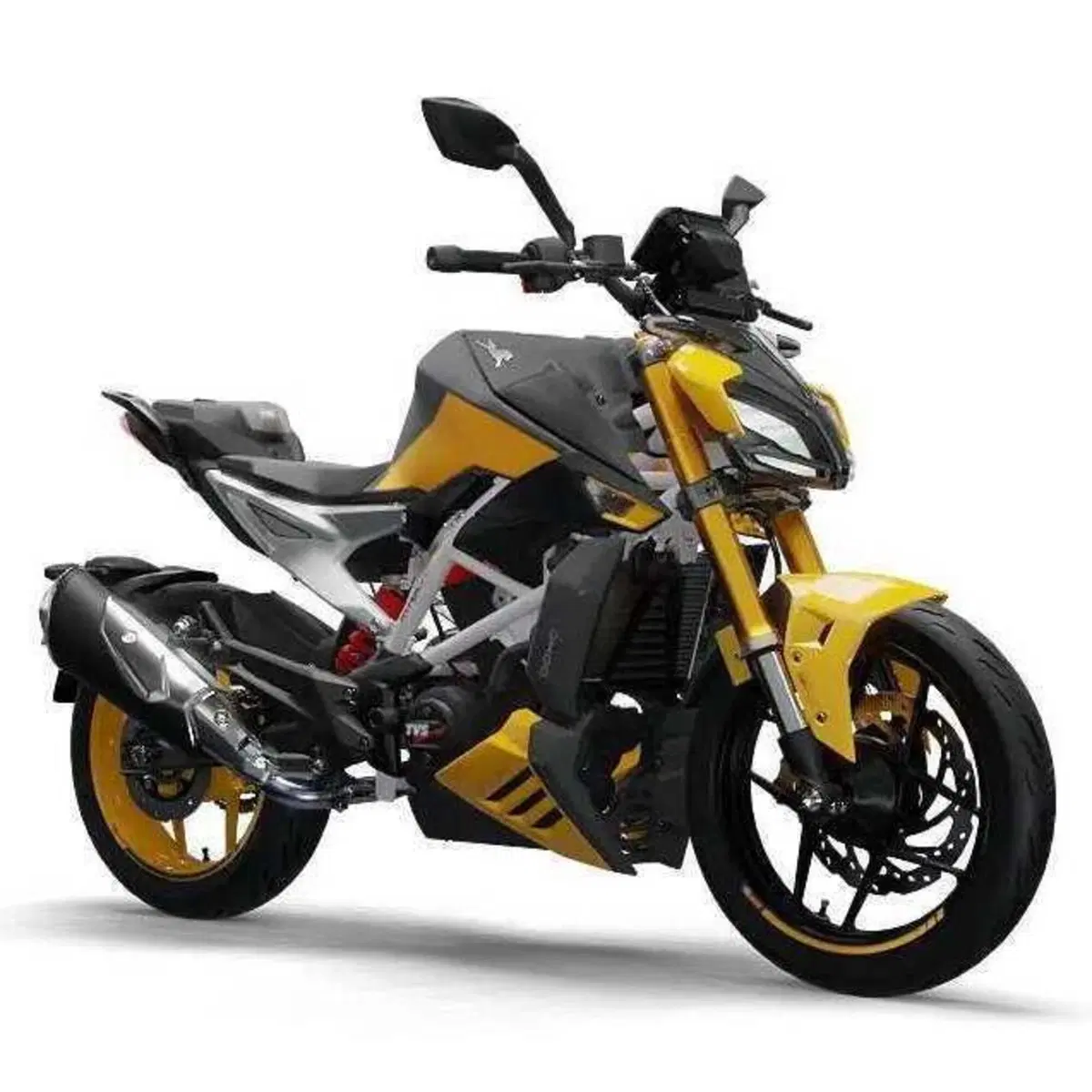 TVS Motor RTR 310 (2024 - 26)