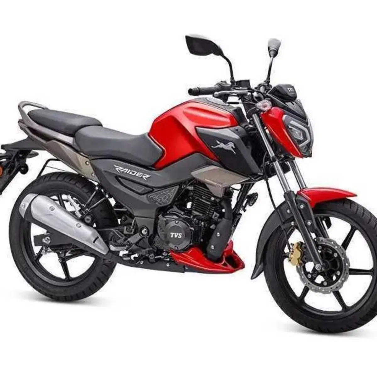 TVS Motor Raider 125 (2024 - 26)