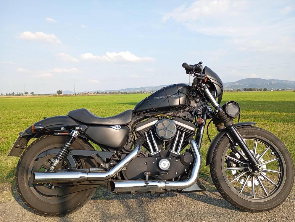 Harley-Davidson 883 Iron (2009 - 11) - XL 883N (3)