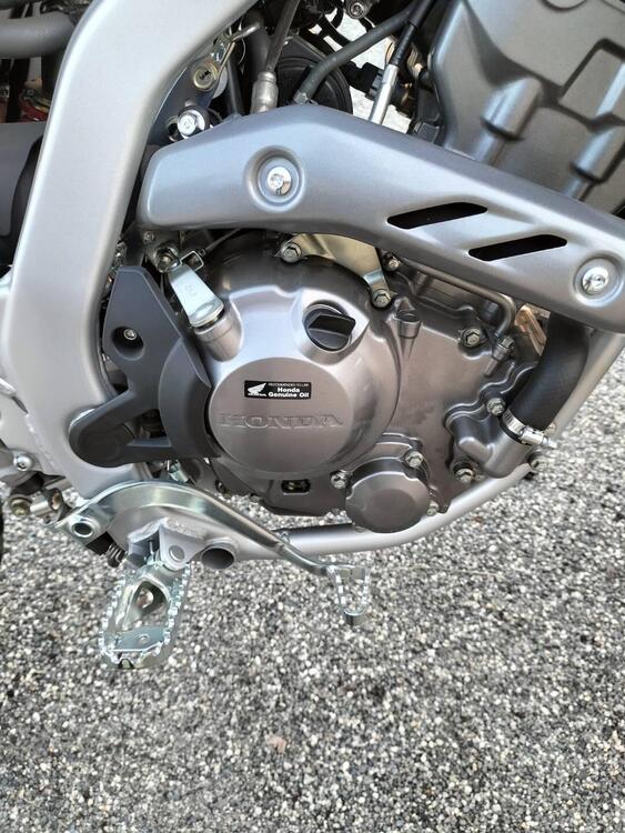 Honda CRF 300 L (2021 - 24) (4)