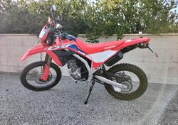 Honda CRF 300 L (2021 - 24) usata