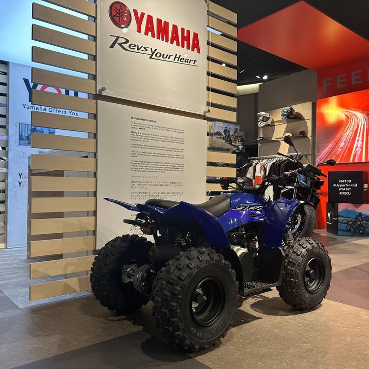 Yamaha YFZ 50 (2022) (3)