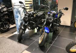 Yamaha XSR 700 (2022 - 24) nuova